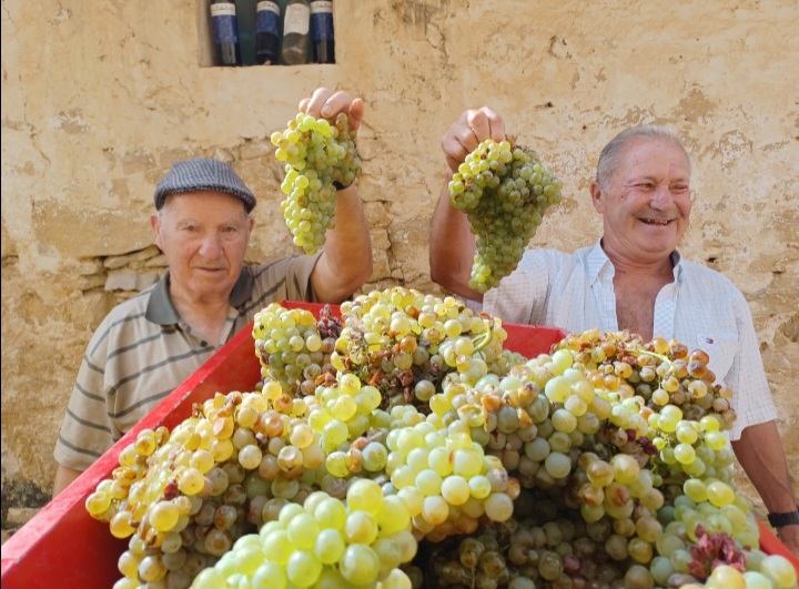 Momentos en la elaboración del vino