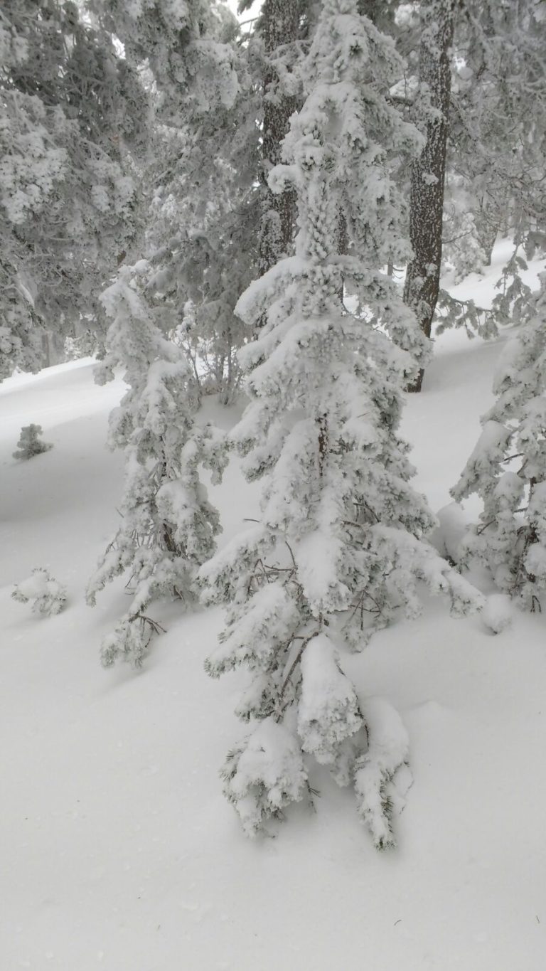 Imagen invernal de Fuentes